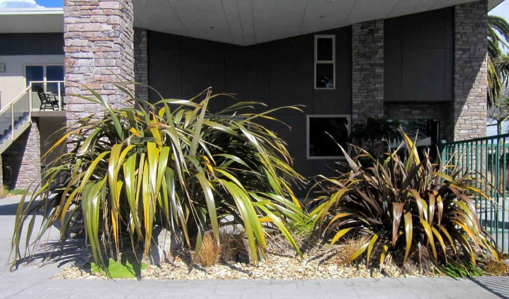 Stay 284 Rotorua - Refurbished Modern Accommodation מראה חיצוני תמונה